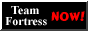 Banner Team Fortress 2